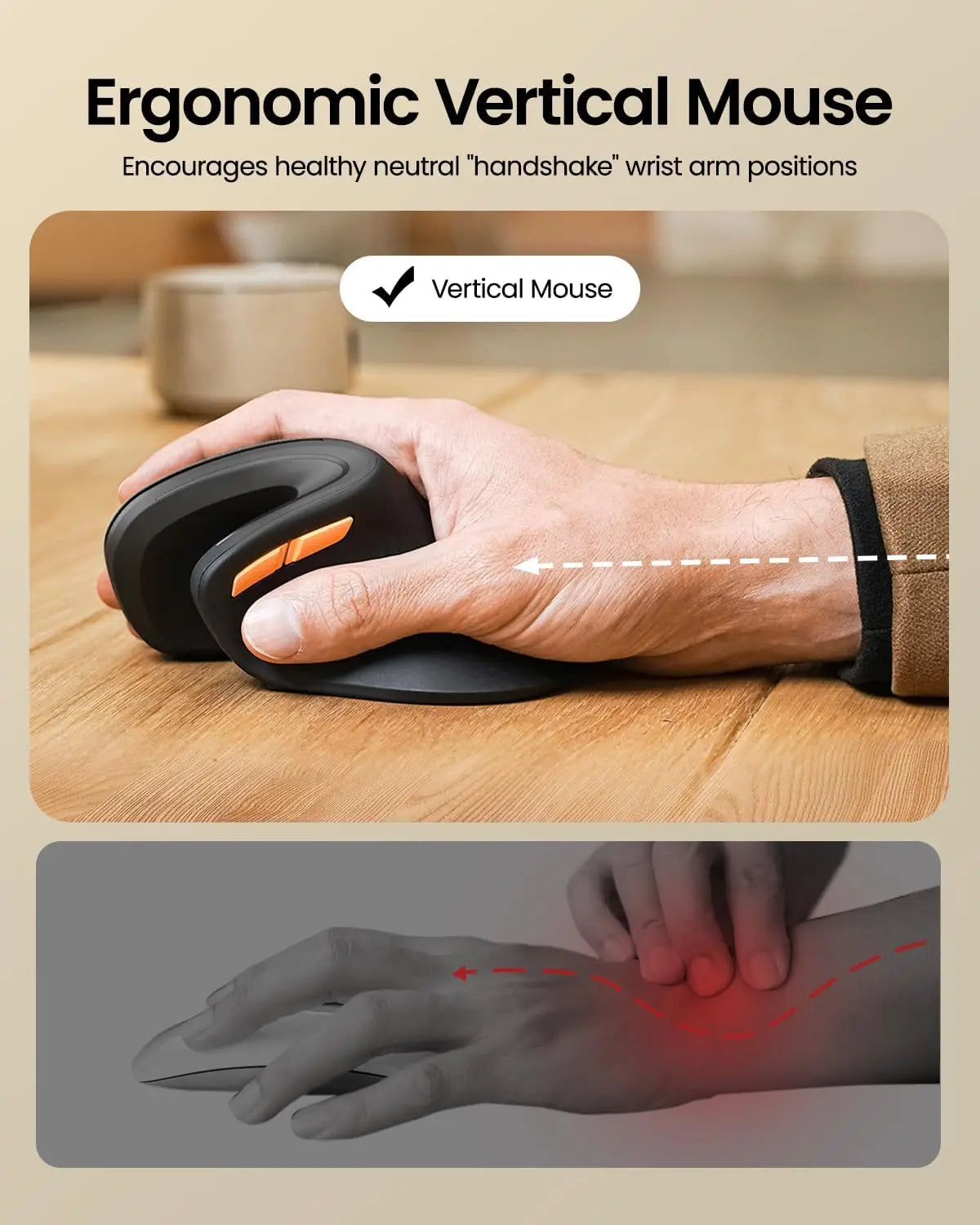 Souris Ergonomique Verticale ProtoArc — Triple Connexion BT+2.4G, Mac/iPad/Windows | Novatek Studio