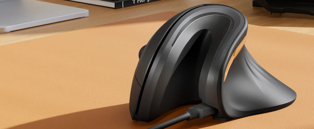Souris Ergonomique Verticale ProtoArc — Triple Connexion BT+2.4G, Mac/iPad/Windows | Novatek Studio