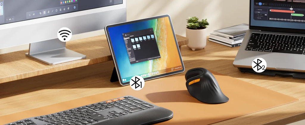 Souris Ergonomique Verticale ProtoArc — Triple Connexion BT+2.4G, Mac/iPad/Windows | Novatek Studio