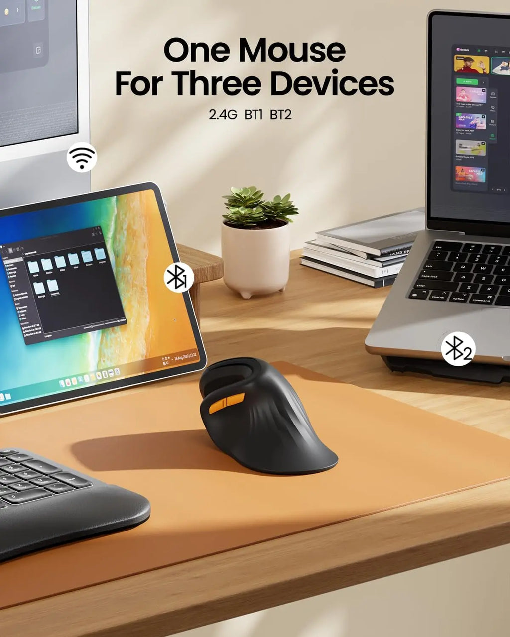 Souris Ergonomique Verticale ProtoArc — Triple Connexion BT+2.4G, Mac/iPad/Windows | Novatek Studio