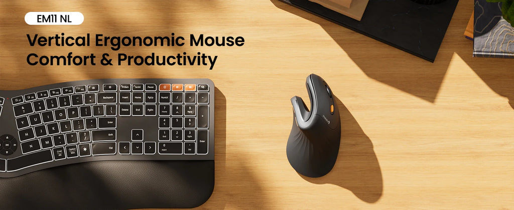 Souris Ergonomique Verticale ProtoArc — Triple Connexion BT+2.4G, Mac/iPad/Windows | Novatek Studio