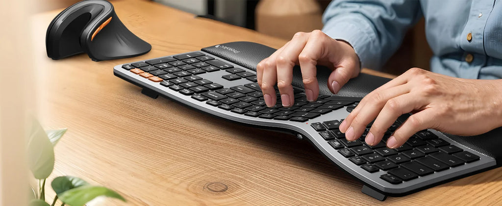 Souris Ergonomique Verticale ProtoArc — Triple Connexion BT+2.4G, Mac/iPad/Windows | Novatek Studio